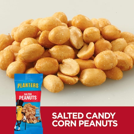 Planters Planters Salted Peanut 1 oz. Bag, PK144 10029000076928
